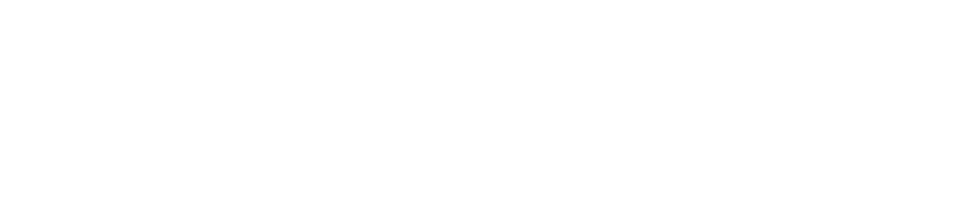Phonevoice logo white